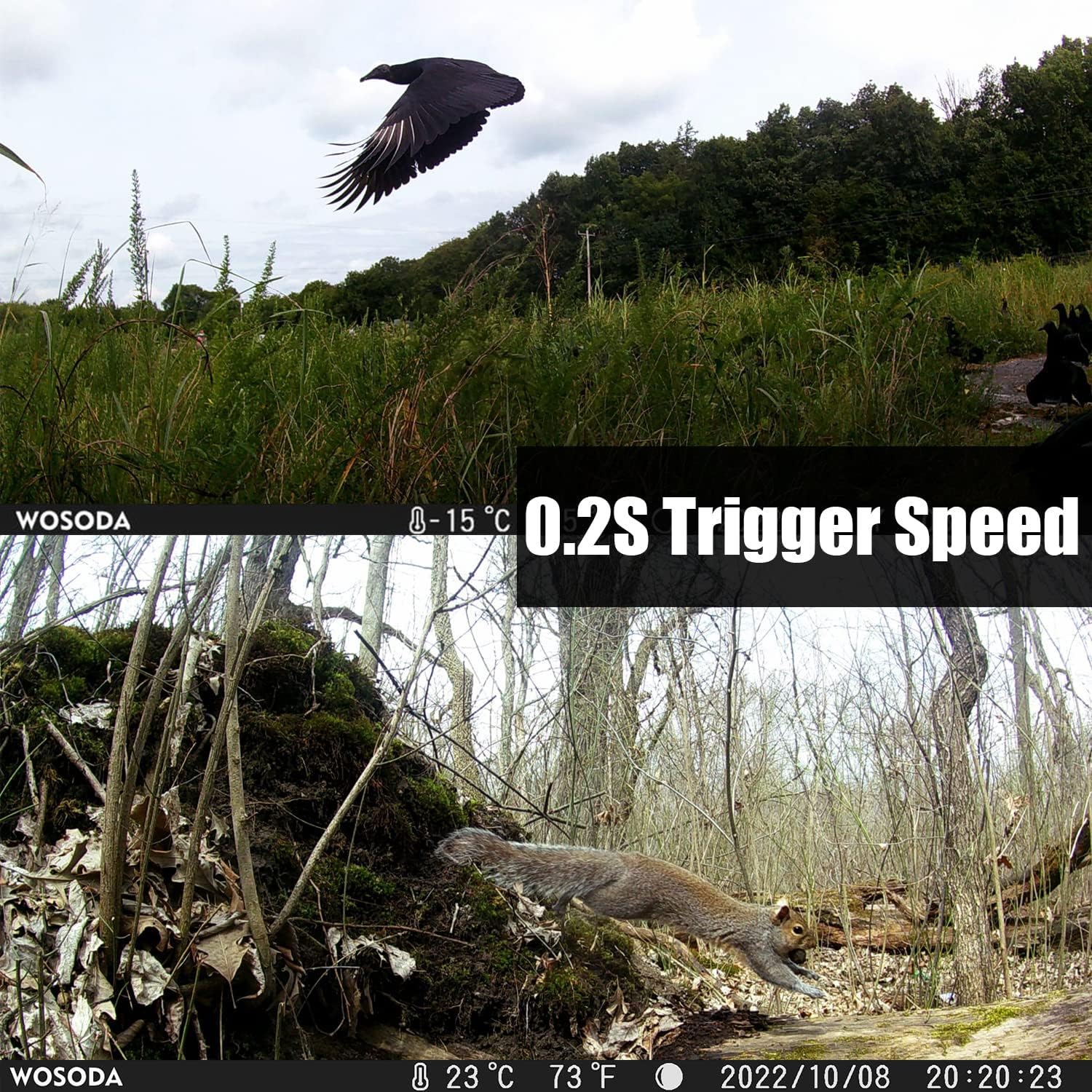 CAMARA TRAMPA WOSODA G300 30MP HD