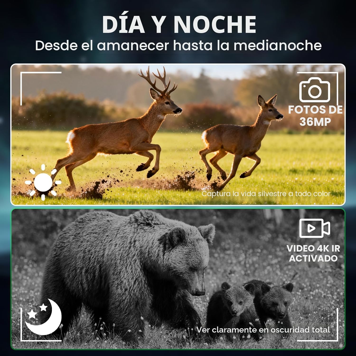 BINOCULAR VISION NOCTURNA 4K HD
