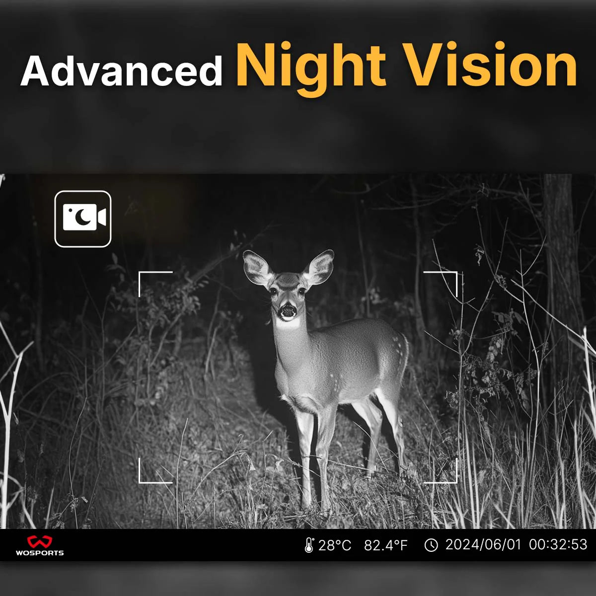 CAMARA TRAMPA 2 PACK NIGHT VISION WATERPROOF30MP ((14)