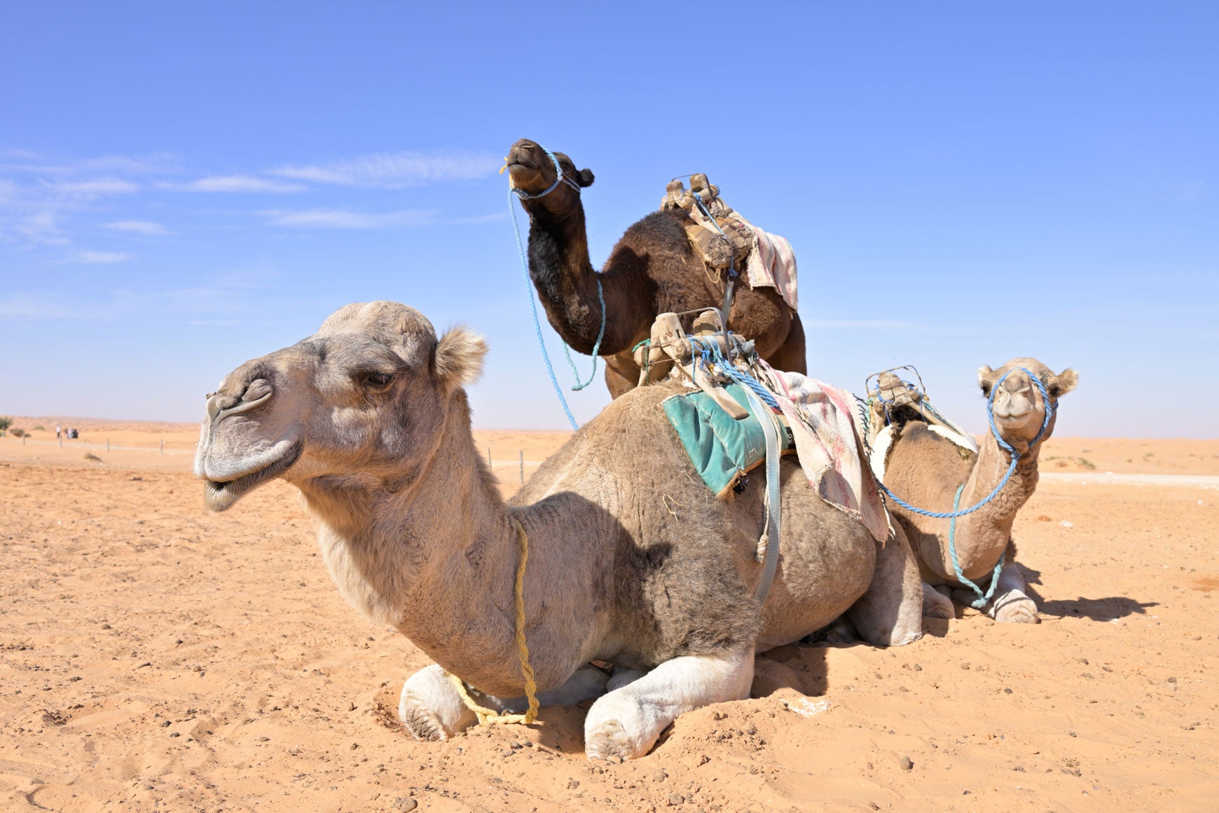 LENTE TAMRON 28-75MM F/2.8 DI III VDX G2 F/ NIKON Z