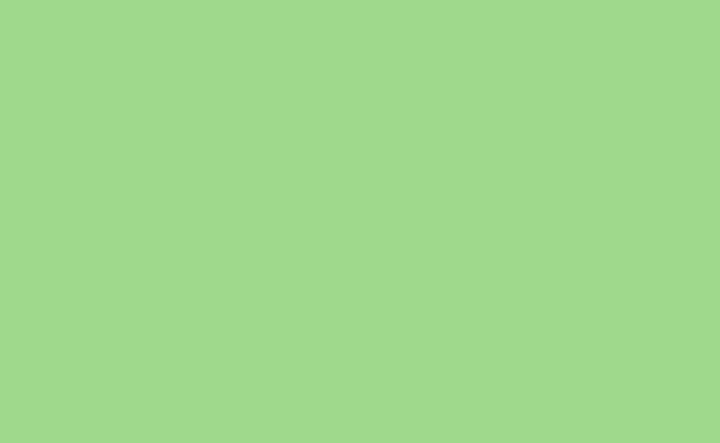 FONDO DE PAPEL SPRING GREEN 2.72X11M