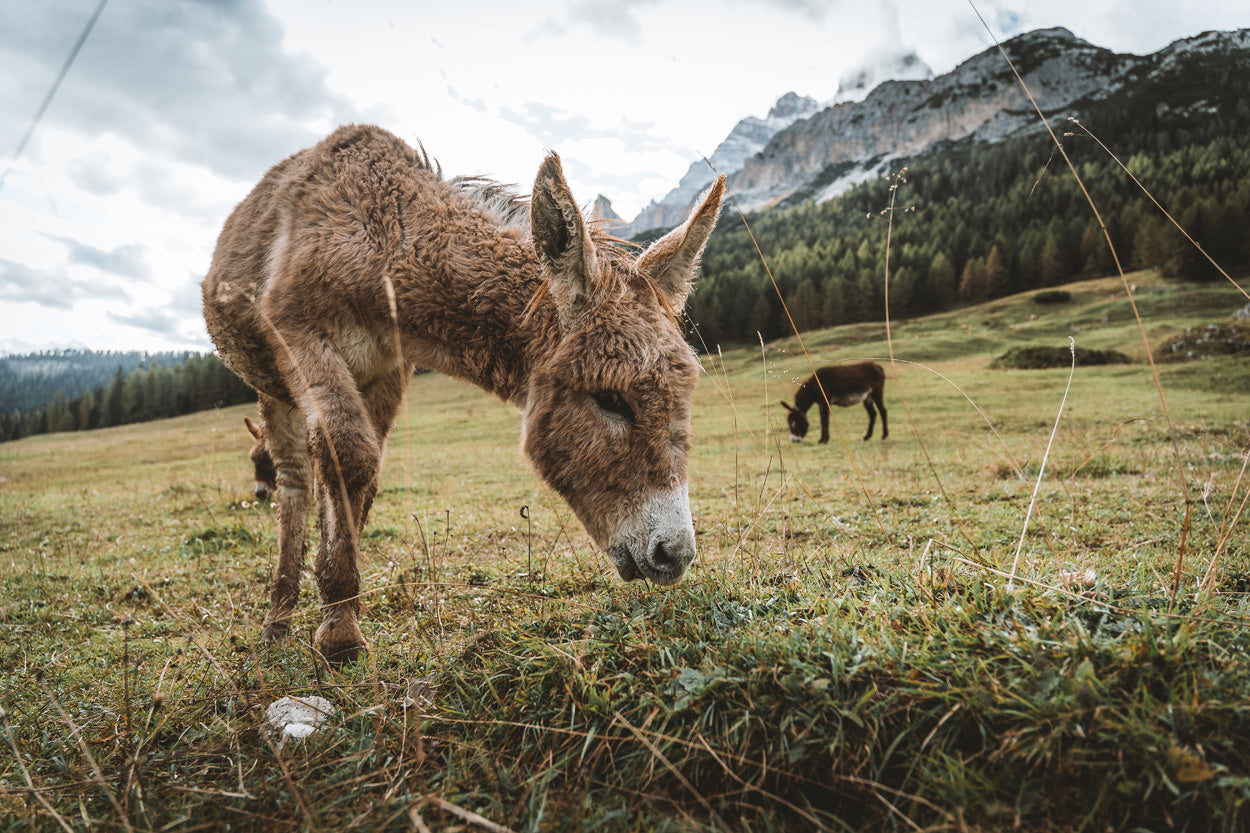 LENTE TAMRON 17-70MM F/2.8 DI III-A VC RXD F/SONY