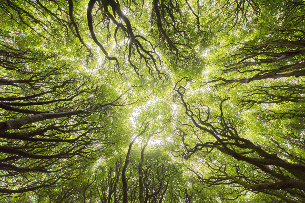 LENTE TAMRON SP 15-30MM F/2.8 DI VC USD G2 /NIKON