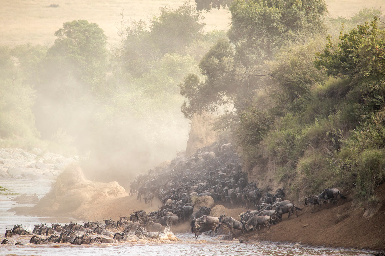 LENTE TAMRON SP 150-600MM F/5-6.3 DI VC USD G2 F/NIKON