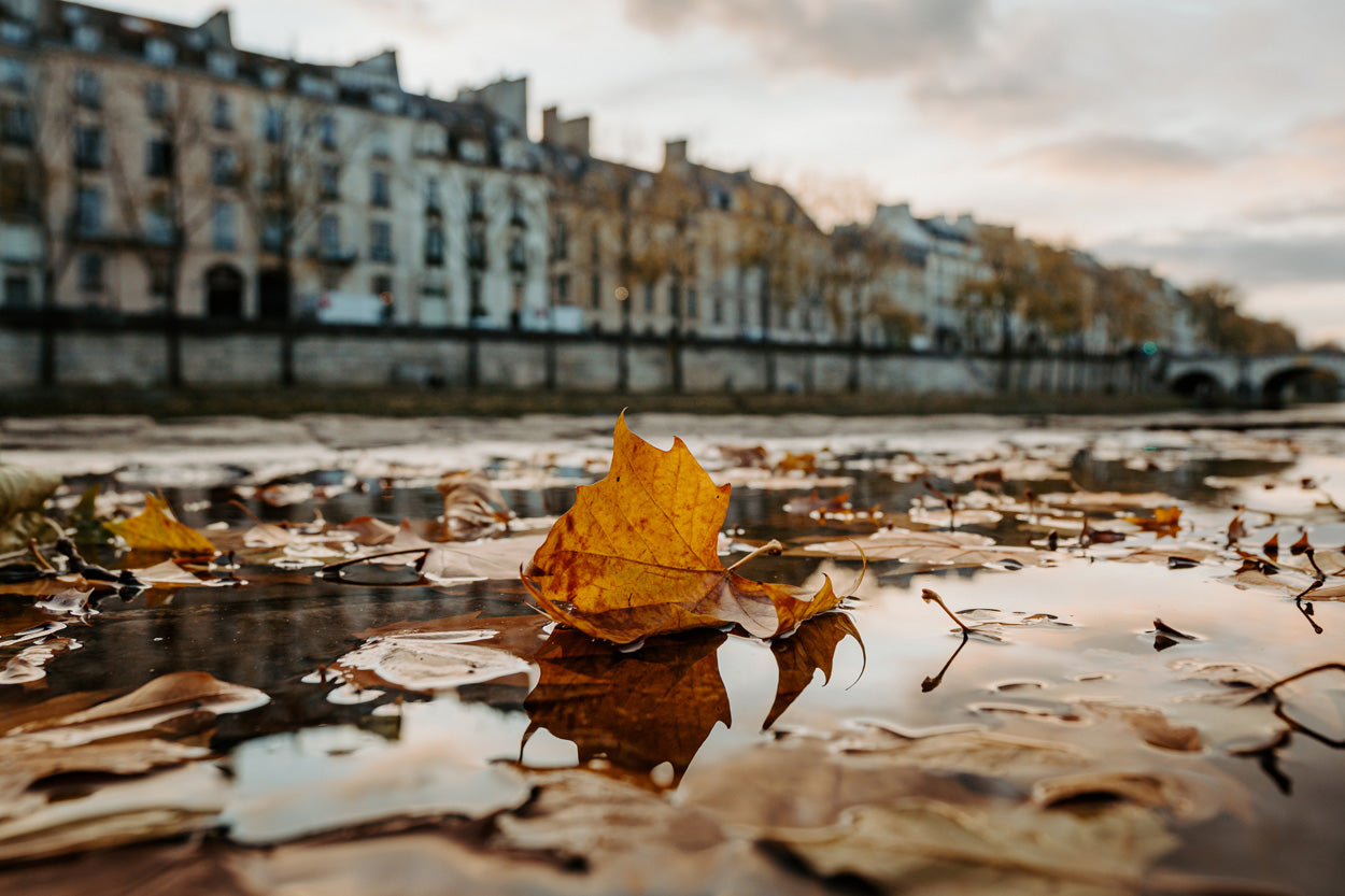 LENTE TAMRON 17-70MM F/2.8 DI III-A VC RXD F/SONY