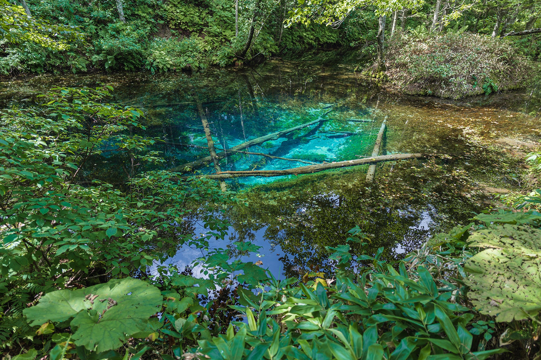 LENTE TAMRON 20MM F/2.8 DI III OSD M1:2 F/SONY