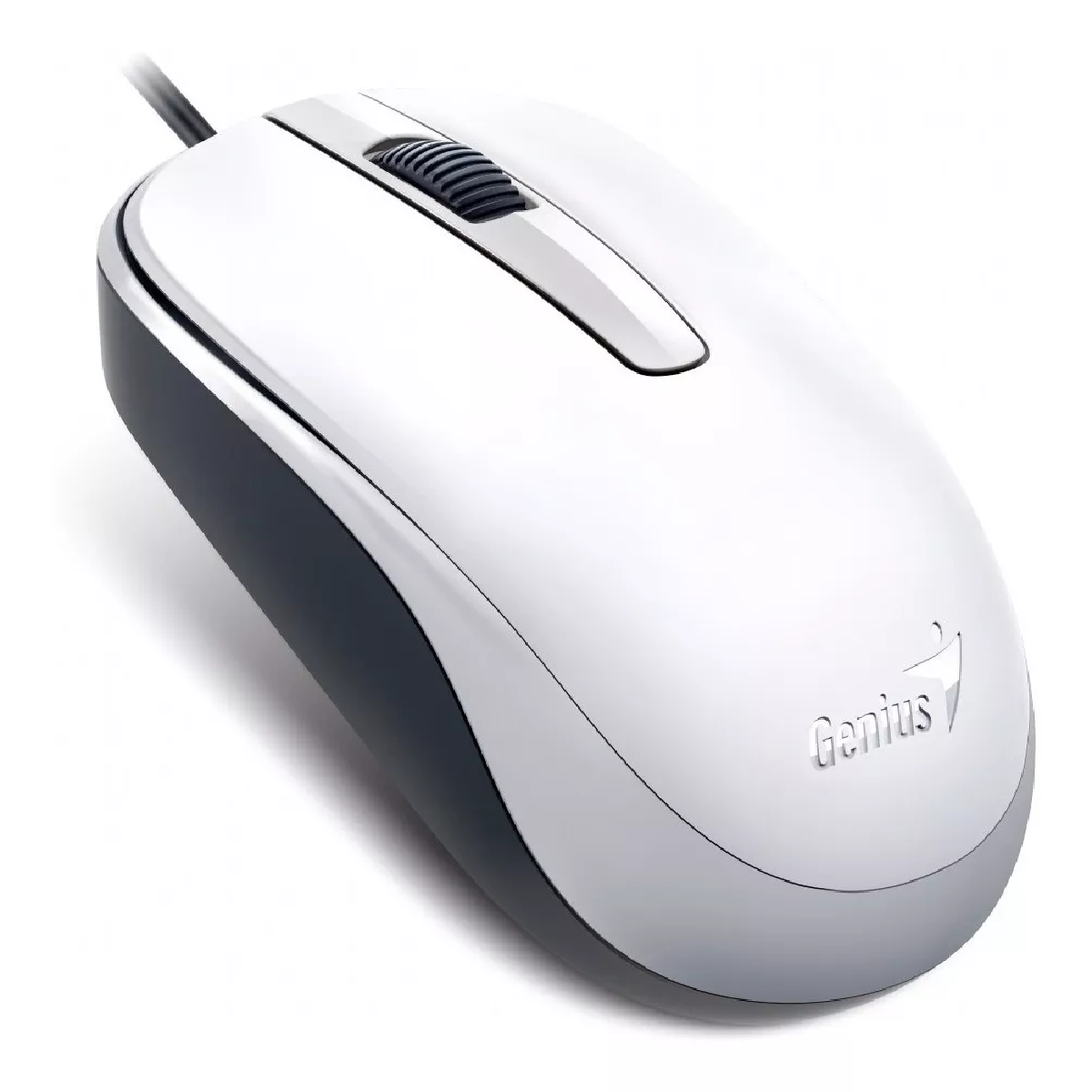 MOUSE GENIUS DX-120 USB BLANCO