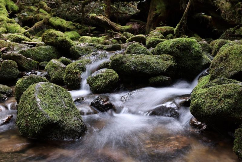 LENTE CANON RF 14-35MM F4 L IS USM