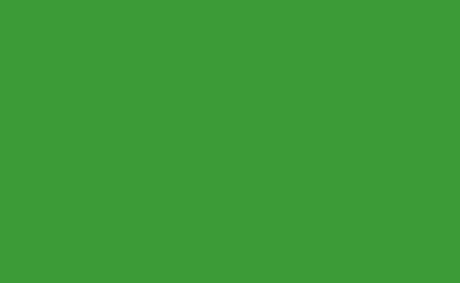 FONDO DE PAPEL BD VERI GREEN 1.36X11M
