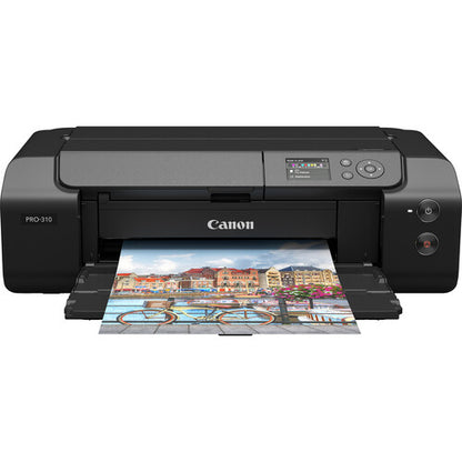 IMPRESORA PRO -310 INKJET