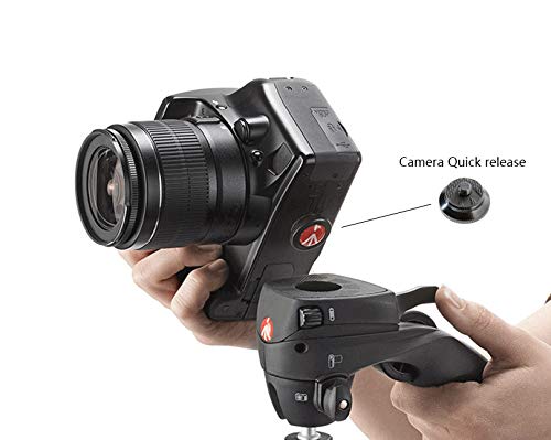 ZAPATA MANFROTTO ROUND-PL