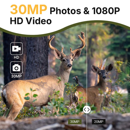 CAMARA TRAMPA 2 PACK NIGHT VISION  WATERPROOF30MP ((14)