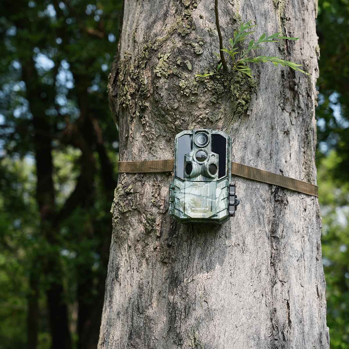 CAMARA TRAMPA WOSPORTS 4K G600