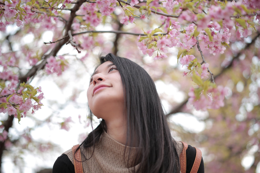 LENTE ZEISS MILVUS 1.4/50 ZE CANON