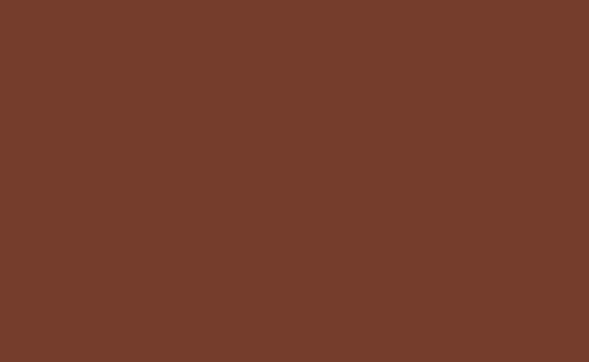 FONDO DE PAPEL BD BROWN HICKORY 2.72X11M