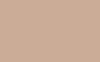 FONDO DE PAPEL BD WIDETONE NATURAL 2.72X11M
