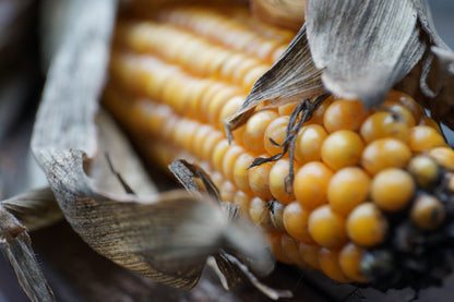 LENTE ZEISS TOUIT 2.8/50M E SONY