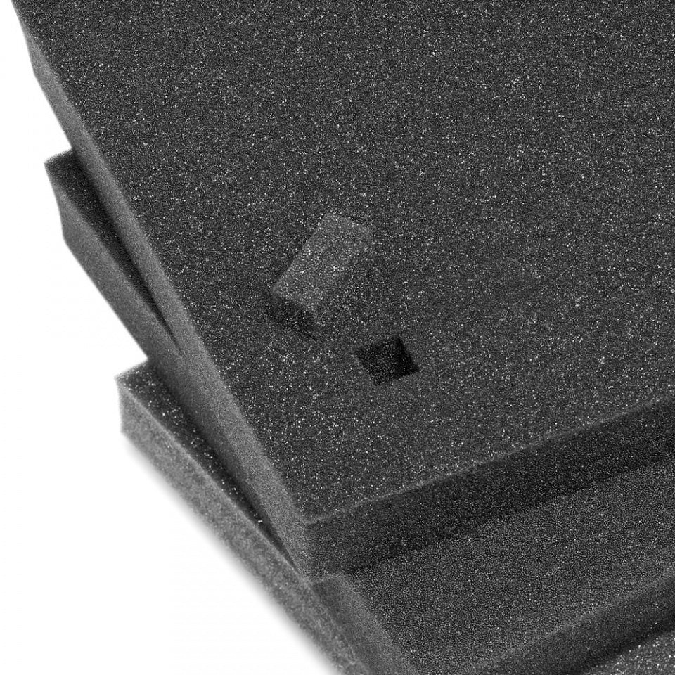 CASE MANFROTTO PRO LIGHT TOUGH + ARNES MB PL-RL-TH55-F